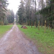 Powiększ zdjęcie Las w Kuropatach